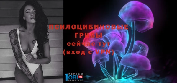 МДПВ Алексин