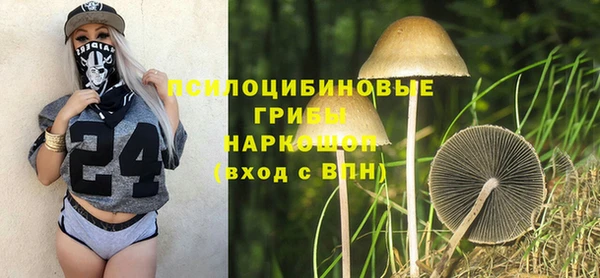 амф Алексеевка