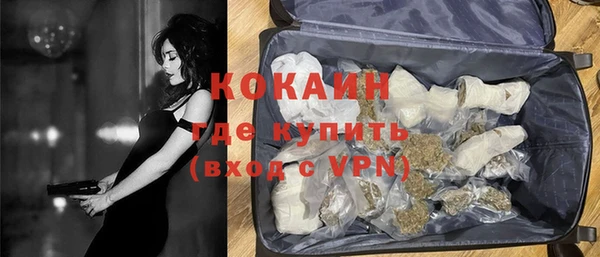 гашик Алзамай