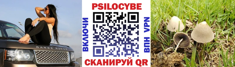 Галлюциногенные грибы мицелий Аткарск